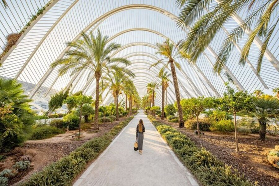 Valencia: Private custom tour with a local guide - Who will get the most from this tour
