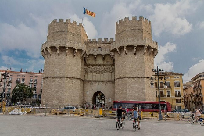 Valencia Private Tour with Hotel or Cruise Port Pick up - How the guide affects the experience