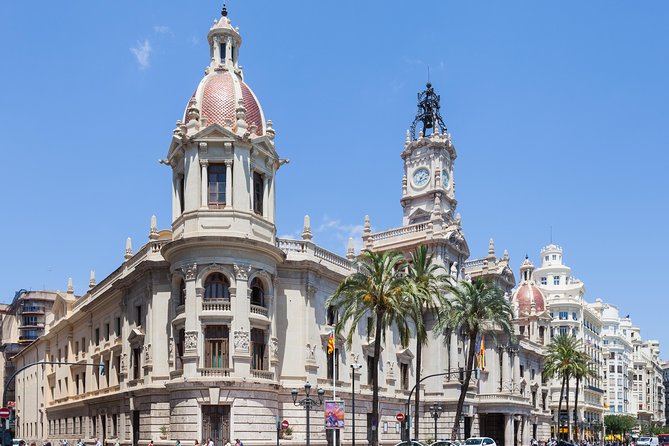 Valencia Private Tour with Hotel or Cruise Port Pick up - Vehicle comfort, group size, and the price