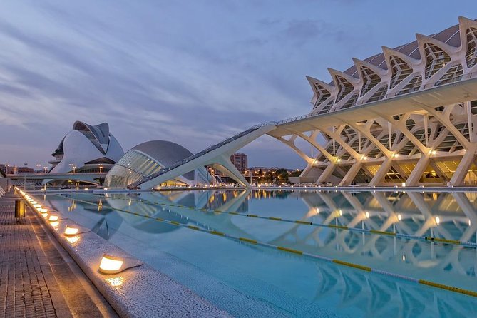 Valencia Private Tour with Hotel or Cruise Port Pick up - Palau de la Generalitat and the old center