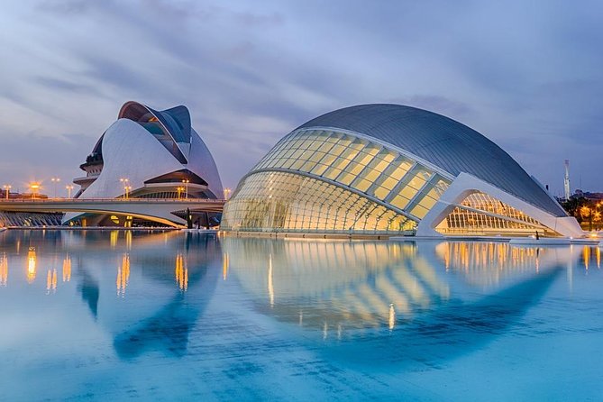 Valencia Private Walking Tour with a Local - Key points at a glance