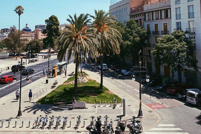 Valencia Private Walking Tour with a Local - Two hours for orientation, six hours for a wider look