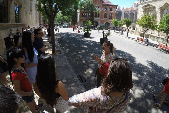 Valencia Private Walking Tour with Official Valencian Guide - What the guides add to the walk
