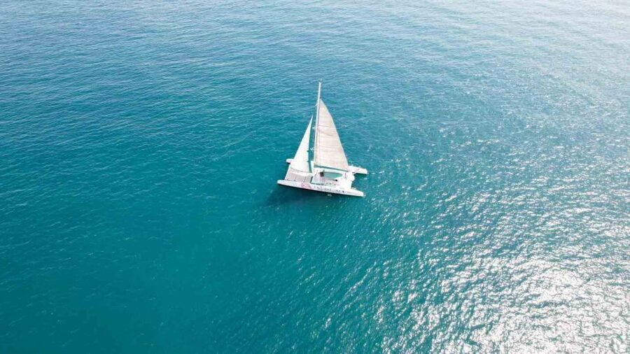 Valencia: Sailing Catamaran Cruise with Valencian Lunch - Paella at sea: what lunch includes
