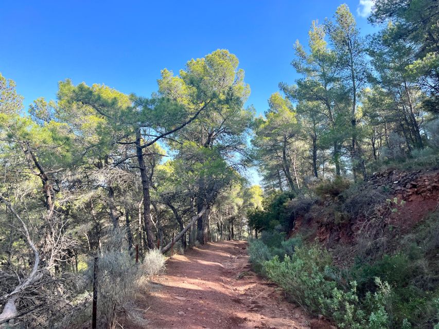 Valencia: Sierra Calderona & El Garbí Mountain hiking Tour - Why this is one of Valencia’s best mountain escapes