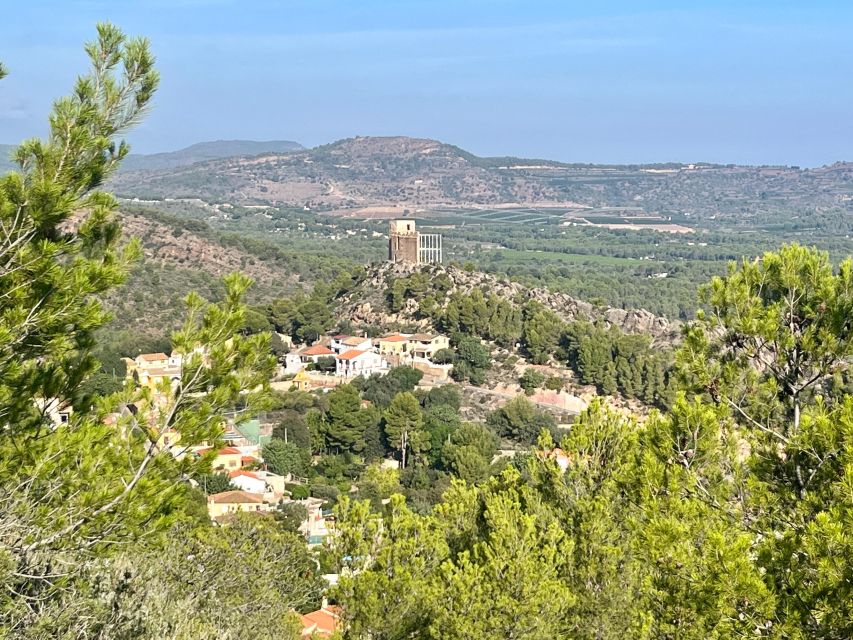 Valencia: Sierra Calderona & El Garbí Mountain hiking Tour - The forest track and the real work of the hike
