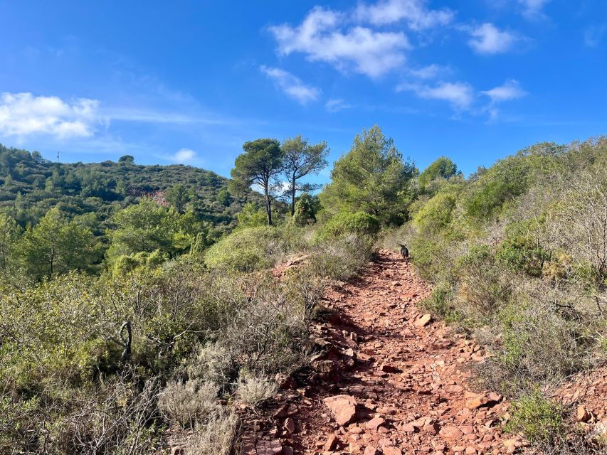 Valencia: Sierra Calderona & El Garbí Mountain hiking Tour - Is $100 a fair price?
