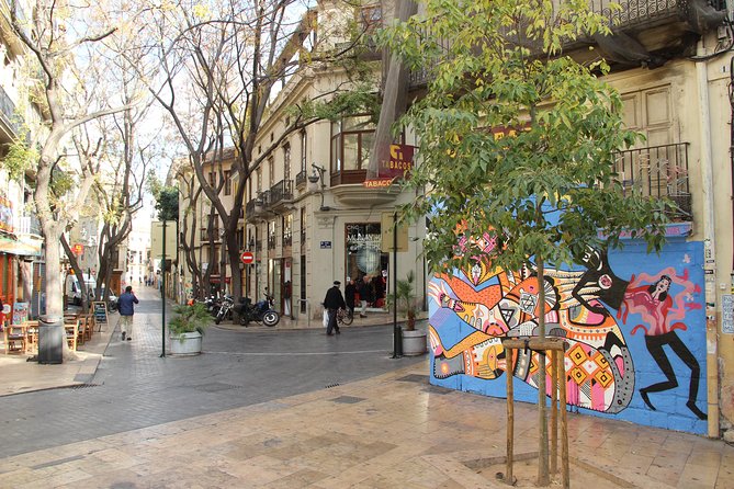 Valencia Street Art | Private Tour by Bike or Electric Ride - Is $72.01 per person fair value?