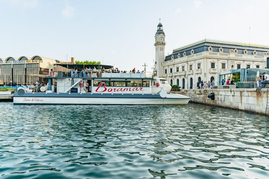 Valencia: Sunset or Daytime Catamaran Cruise with Drink - Sea conditions and motion sickness