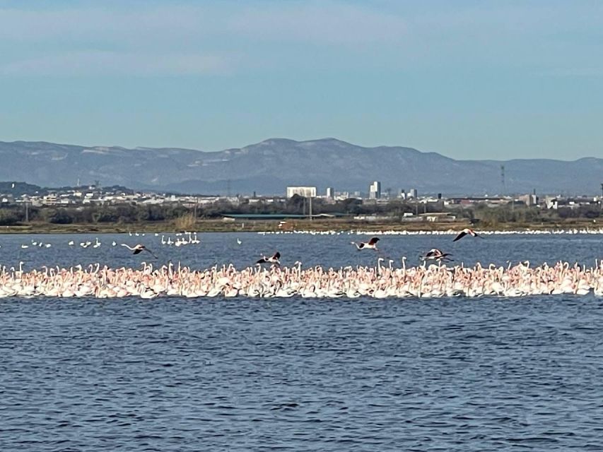 Valencia: The Albufera Lake Self-Guided E-Bike Tour - Why this route works so well for Valencia