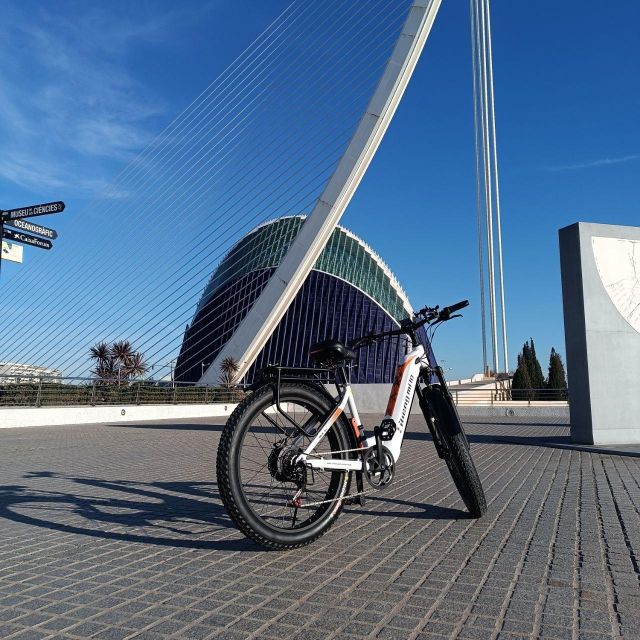 Valencia: The Albufera Lake Self-Guided E-Bike Tour - Pedaling through the Turia Gardens