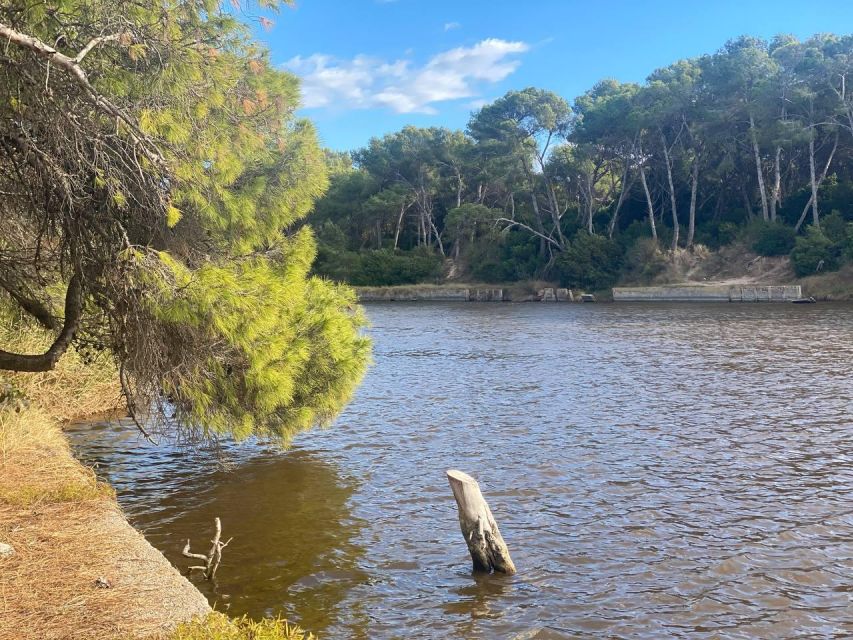 Valencia: The Albufera Lake Self-Guided E-Bike Tour - Following the beach route toward Albufera