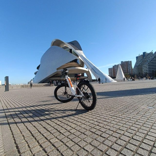Valencia: The Albufera Lake Self-Guided E-Bike Tour - Albufera Lake and its birdlife