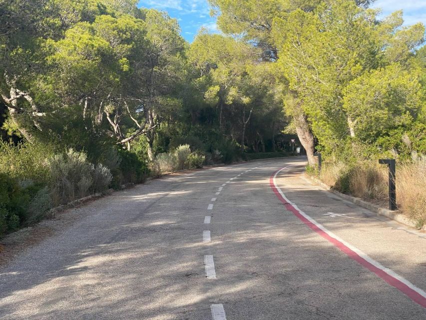Valencia: The Albufera Lake Self-Guided E-Bike Tour - Setting off from Ruzafa with the right equipment