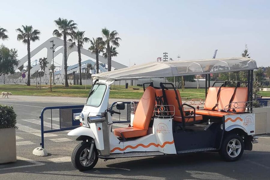 Valencia: Tuk Tuk City Tour - Who will get the most from this tour?