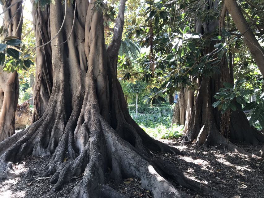 Valencia: Turia Park Segway Tour - The Royal Gardens and their unusual plant life