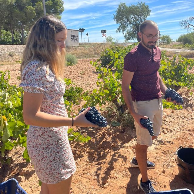 Valencia: Utiel-Requena Cave & Winery Day Trip with Tasting - The 45-minute ride inland from Valencia