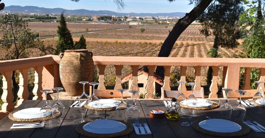Valencia: Utiel-Requena Cave & Winery Day Trip with Tasting - Murviedro’s 12th-century caves beneath the town