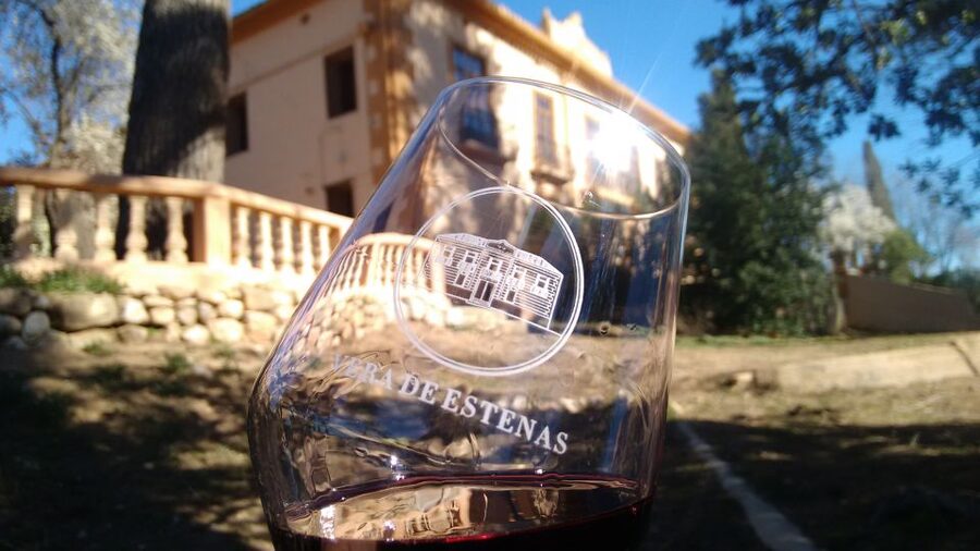Valencia: Utiel-Requena Cave & Winery Day Trip with Tasting - Should you book this Utiel-Requena wine tour?