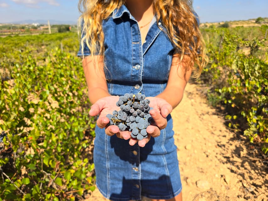 Valencia: Utiel-Requena Cave & Winery Day Trip with Tasting - A short walk through historic Requena