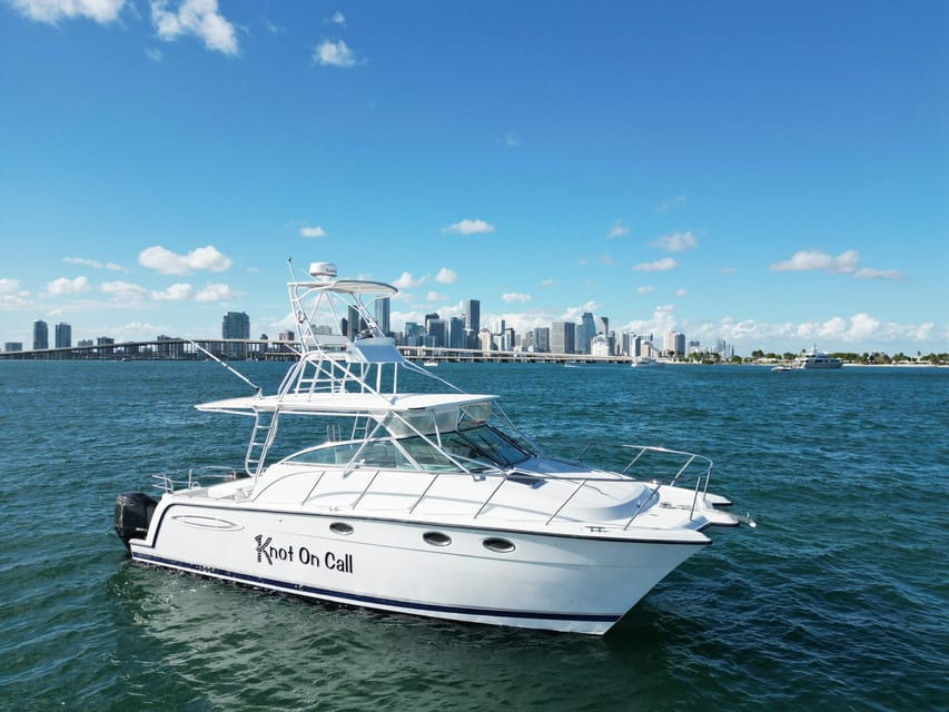 Valencia: VIP Sunset Cruise in Catamaran with drink - Choosing your included drink