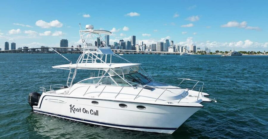 Valencia: VIP Sunset Cruise in Catamaran with drink - What the captain and staff provide