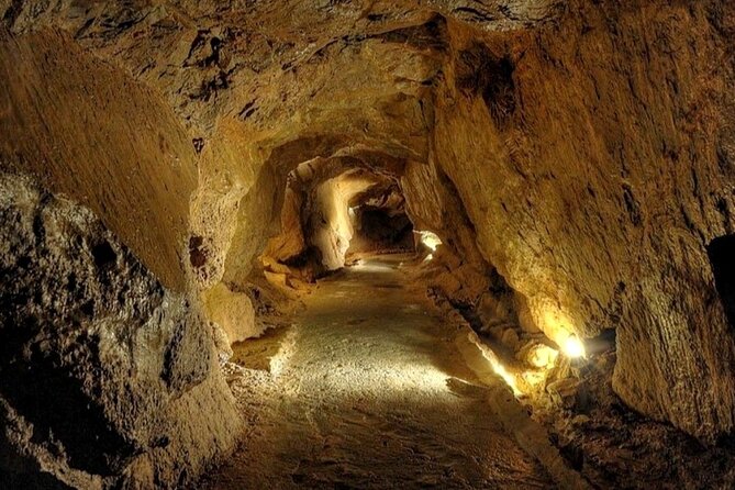 Visit to the Sant Josep Caves - The 250-meter walk through the cave