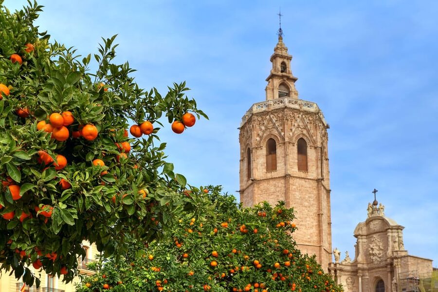 Walking Tour through Valencia's Historic Centre - Starting at the Serranos Towers