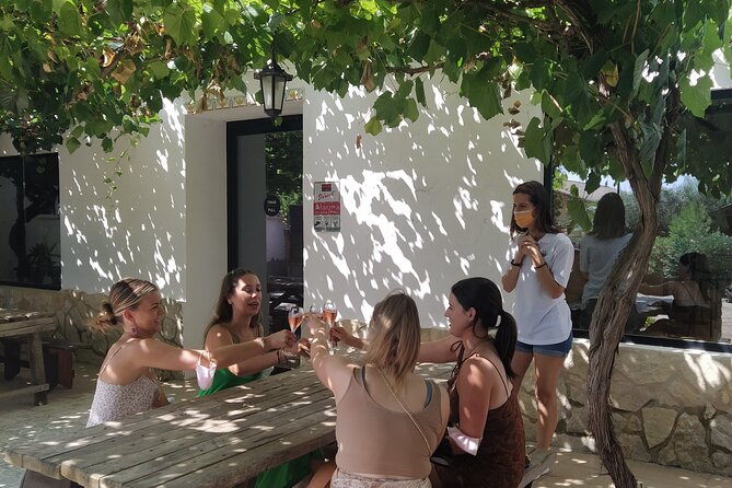 Wine tasting tour - What Utiel-Requena adds to the day